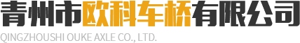 ZL30E驱动桥-ZL30E驱动桥-矿山专用驱动桥_驱动桥生产厂家-青州市欧科车桥有限公司